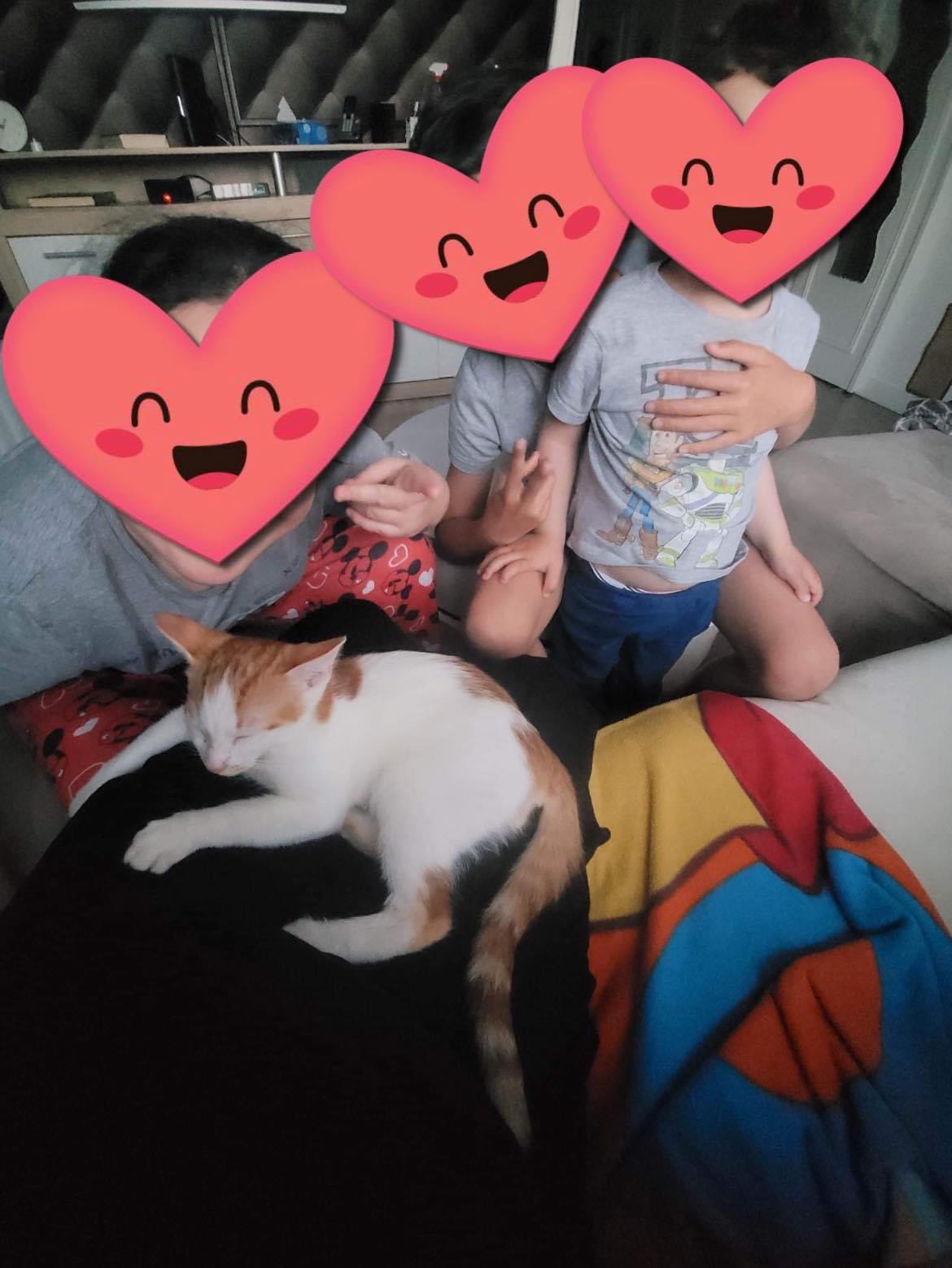 Pixel