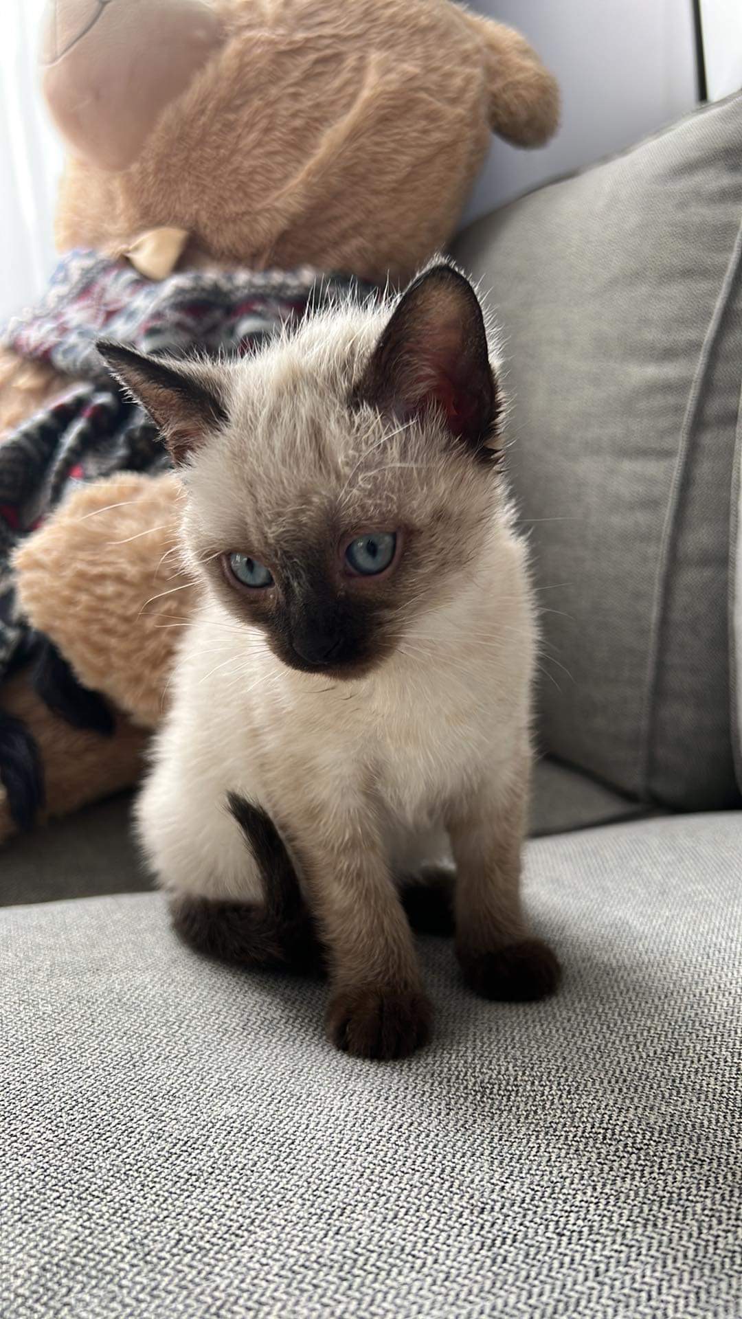 Casper