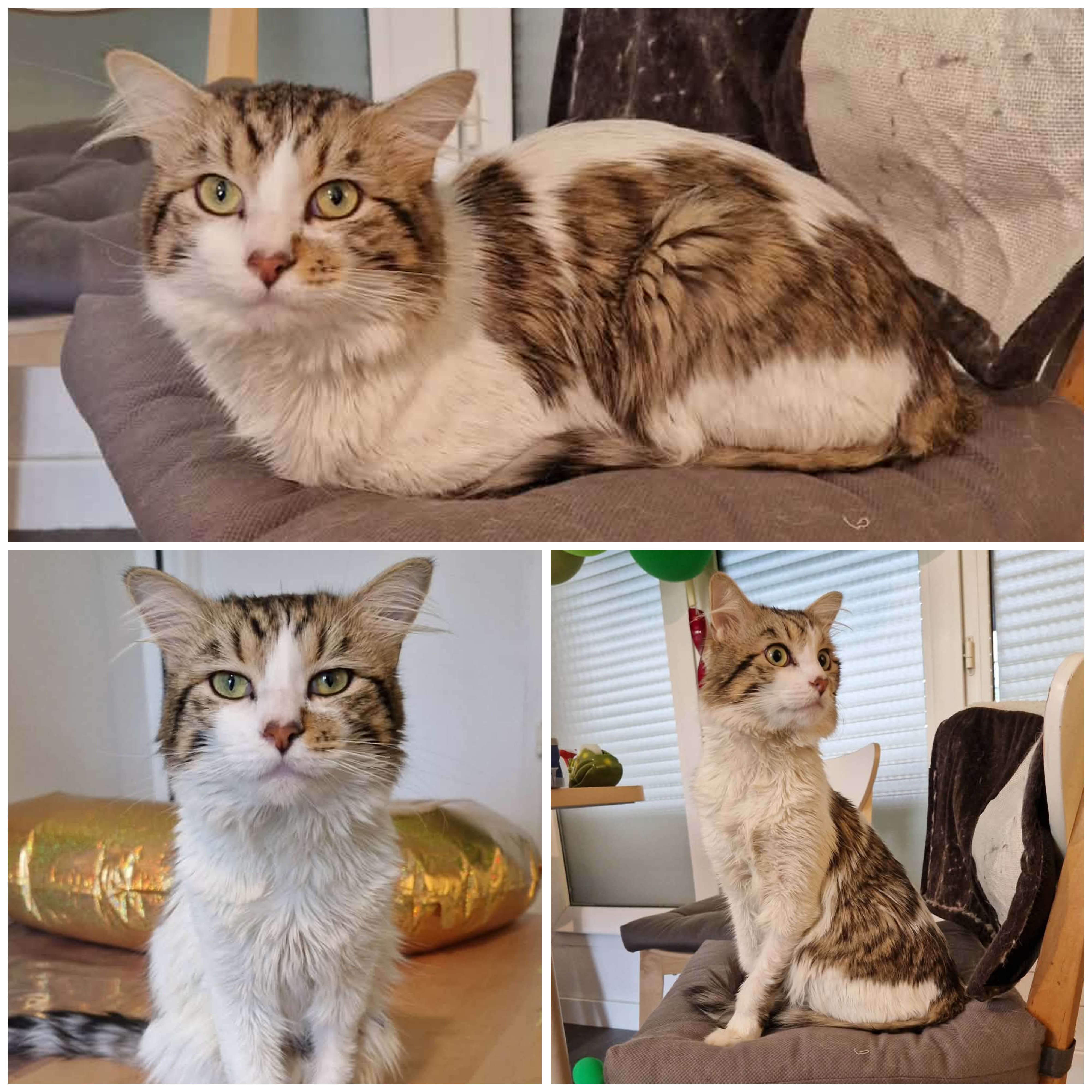 Yvarh