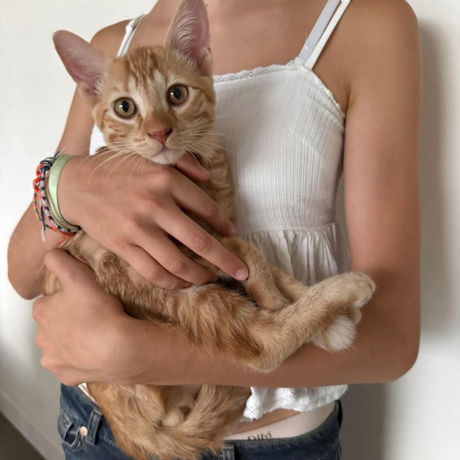 Bilo